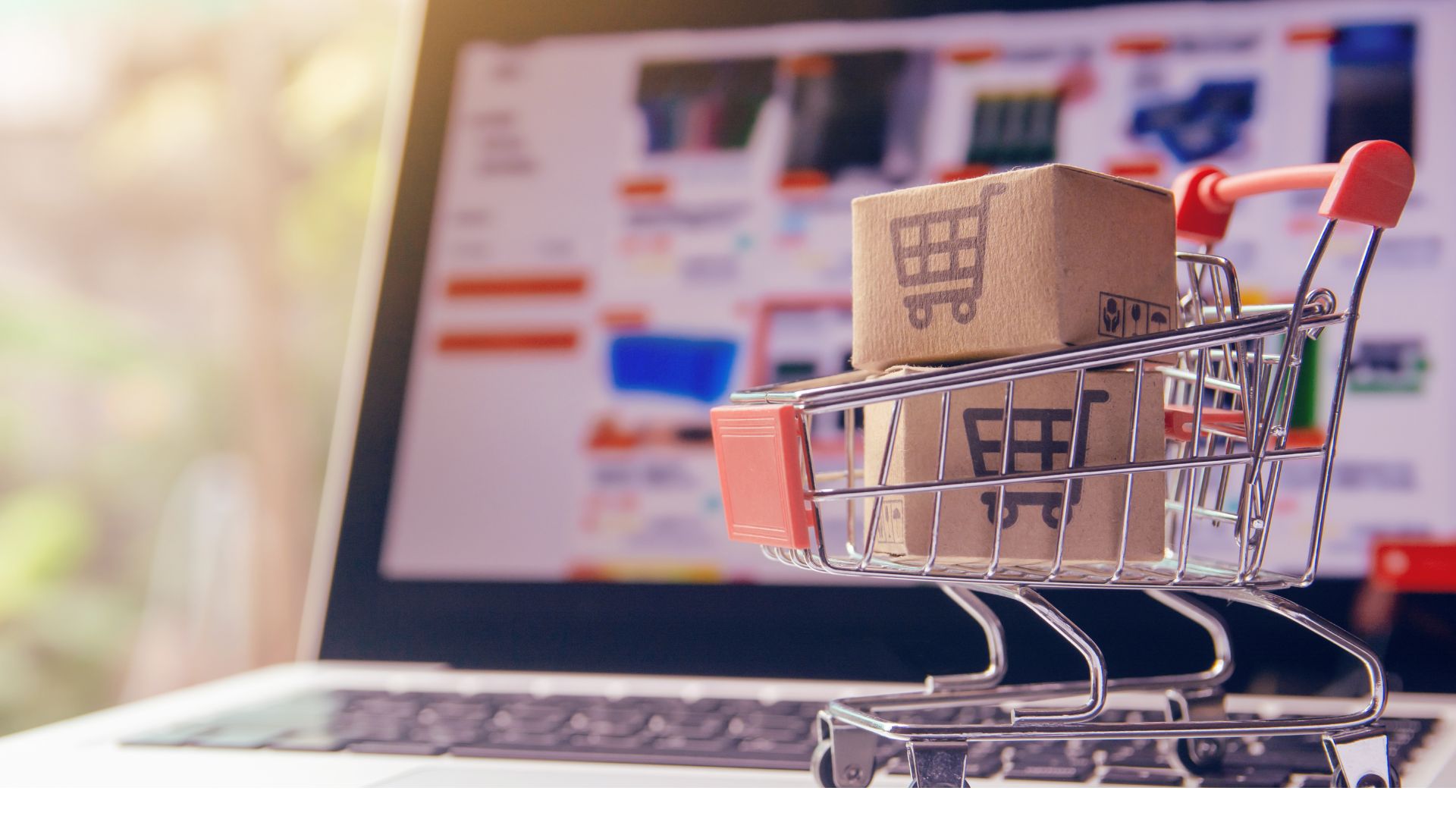 E-commerce Launch: ShopPro